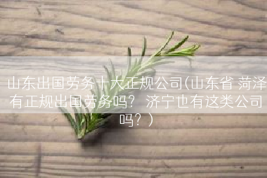 山东出国劳务十大正规公司(山东省 菏泽有正规出国劳务吗？ 济宁也有这类公司吗？)
