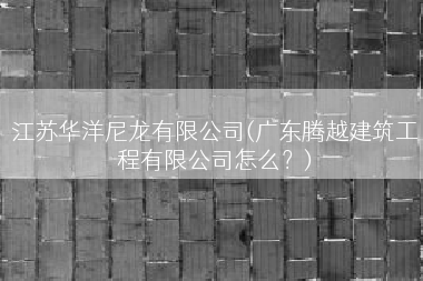 江苏华洋尼龙有限公司(广东腾越建筑工程有限公司怎么？)