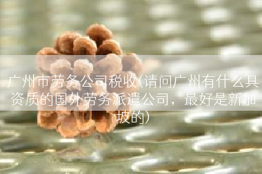 广州市劳务公司税收(请问广州有什么具资质的国外劳务派遣公司，最好是新加坡的)
