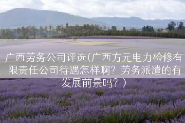 广西劳务公司评选(广西方元电力检修有限责任公司待遇怎样啊？劳务派遣的有发展前景吗？)