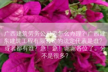 广西建筑劳务公司要怎么办理？广西建东建筑工程有限公司的法定代表是谁？ 或者都有谁？急！急！谢谢各位了。分不是很多？