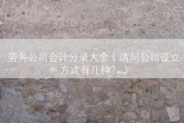 劳务公司会计分录大全（请问公司设立方式有几种？）
