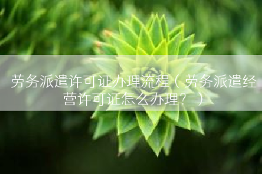 劳务派遣许可证办理流程（劳务派遣经营许可证怎么办理？）