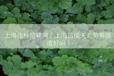 上海徐标招聘网（上海昌硕天汇劳务派遣好吗）