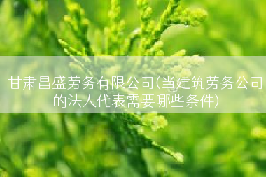 甘肃昌盛劳务有限公司(当建筑劳务公司的法人代表需要哪些条件)