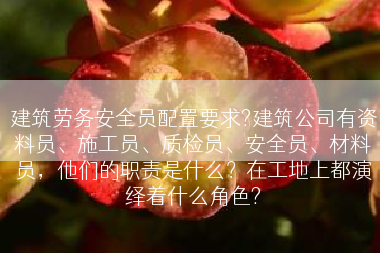 建筑劳务安全员配置要求?建筑公司有资料员、施工员、质检员、安全员、材料员，他们的职责是什么？在工地上都演绎着什么角色?