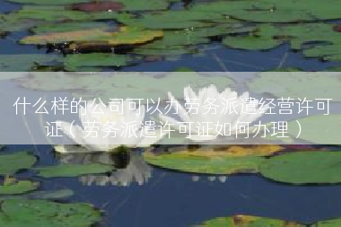 什么样的公司可以办劳务派遣经营许可证（劳务派遣许可证如何办理）