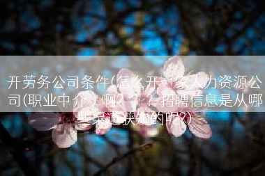 开劳务公司条件(怎么开一家人力资源公司(职业中介）啊？？？招聘信息是从哪些渠道获知的呢?)