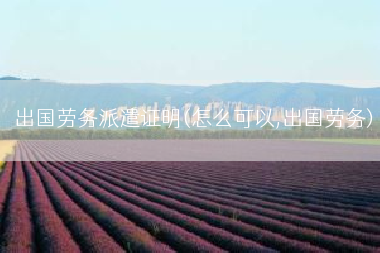 出国劳务派遣证明(怎么可以,出国劳务)