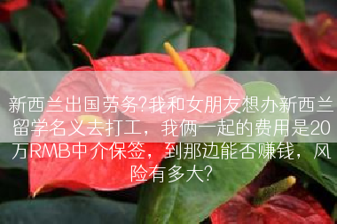 新西兰出国劳务?我和女朋友想办新西兰留学名义去打工，我俩一起的费用是20万RMB中介保签，到那边能否赚钱，风险有多大?