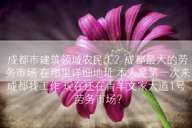 成都市建筑领域农民工？成都最大的劳务市场 在那里详细地址 本人是第一次来成都找工作 现在还在青羊文家大道1号 劳务市场？