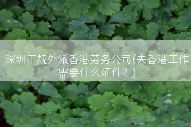 深圳正规外派香港劳务公司(去香港工作需要什么证件？)