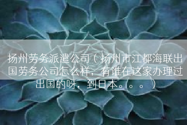 扬州劳务派遣公司（扬州市江都海联出国劳务公司怎么样，有谁在这家办理过出国的呀，到日本。。。）