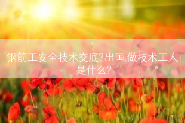 钢筋工安全技术交底?出国 做技术工人 是什么?