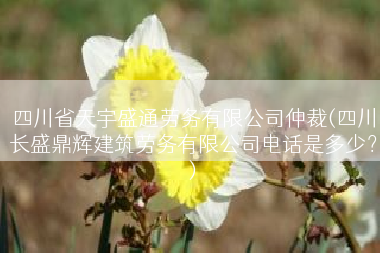 四川省天宇盛通劳务有限公司仲裁(四川长盛鼎辉建筑劳务有限公司电话是多少？)