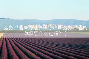 劳务派遣证办理流程（出国劳务派遣具体需要什么过程？）