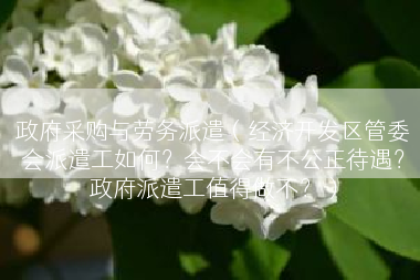 政府采购与劳务派遣（经济开发区管委会派遣工如何？会不会有不公正待遇？政府派遣工值得做不？）