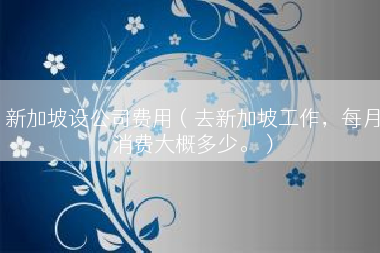 新加坡设公司费用（去新加坡工作，每月消费大概多少。）
