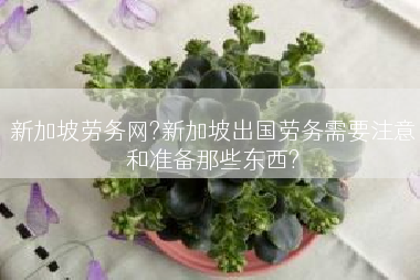 新加坡劳务网?新加坡出国劳务需要注意和准备那些东西?