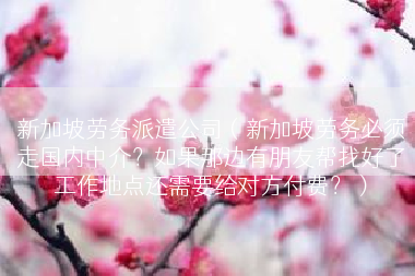 新加坡劳务派遣公司（新加坡劳务必须走国内中介？如果那边有朋友帮找好了工作地点还需要给对方付费？）