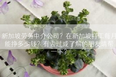新加坡劳务中介公司？在新加坡打工每月能挣多少钱？有去过或了解的朋友请帮一下？
