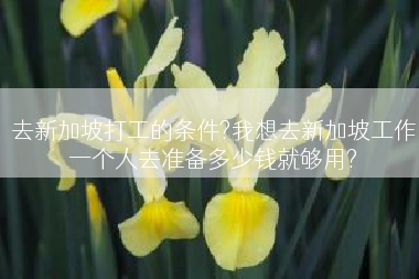 去新加坡打工的条件?我想去新加坡工作一个人去准备多少钱就够用?