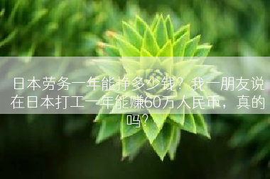 日本劳务一年能挣多少钱？我一朋友说在日本打工一年能赚60万人民币，真的吗？