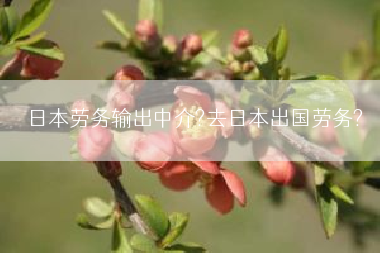 日本劳务输出中介?去日本出国劳务?