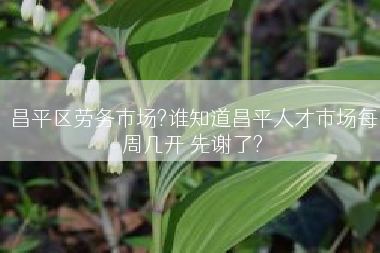 昌平区劳务市场?谁知道昌平人才市场每周几开 先谢了?