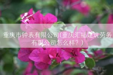 重庆市钟表有限公司(重庆汇福建筑劳务有限公司怎么样？)