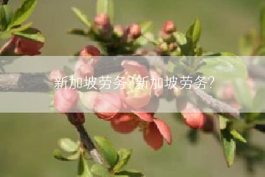 新加坡劳务?新加坡劳务?