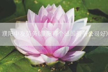 濮阳中友劳务(濮阳哪个出国劳务公司好)