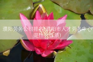 濮阳劳务公司排名(濮阳市人才劳务中心是什么性质)
