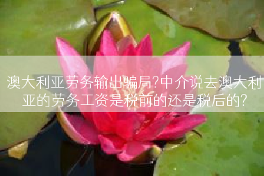 澳大利亚劳务输出骗局?中介说去澳大利亚的劳务工资是税前的还是税后的?