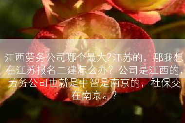 江西劳务公司哪个最大?江苏的，那我想在江苏报名二建怎么办？公司是江西的，劳务公司也就是中智是南京的，社保交在南京。?