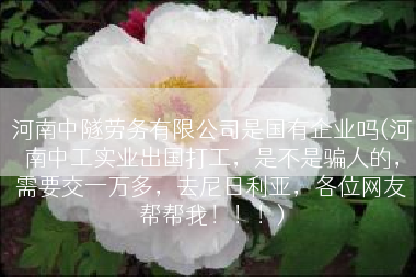 河南中隧劳务有限公司是国有企业吗(河南中工实业出国打工，是不是骗人的，需要交一万多，去尼日利亚，各位网友帮帮我！！！)