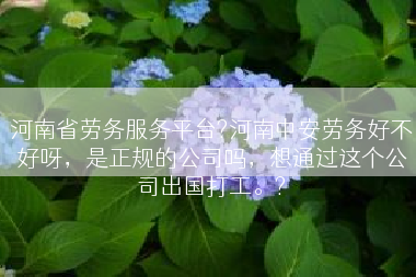河南省劳务服务平台?河南中安劳务好不好呀，是正规的公司吗，想通过这个公司出国打工。?
