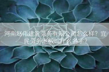 河南赵伟建筑劳务有限公司怎么样？宜民劳务老板叫什么名字？