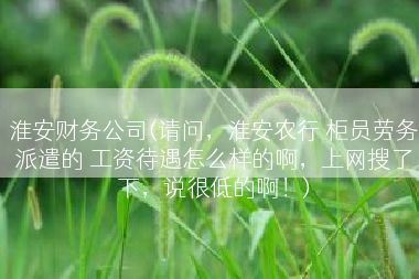 淮安财务公司(请问，淮安农行 柜员劳务派遣的 工资待遇怎么样的啊，上网搜了下，说很低的啊！)