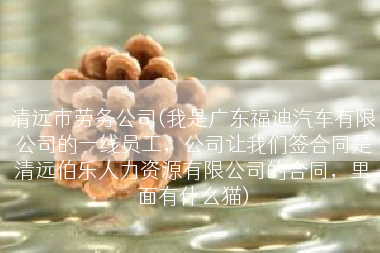 清远市劳务公司(我是广东福迪汽车有限公司的一线员工，公司让我们签合同是清远伯乐人力资源有限公司的合同，里面有什么猫)