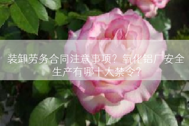 装卸劳务合同注意事项？氧化铝厂安全生产有哪十大禁令？