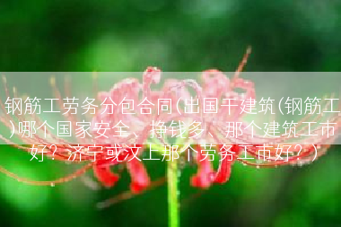 钢筋工劳务分包合同(出国干建筑(钢筋工)哪个国家安全、挣钱多、那个建筑工市好？济宁或汶上那个劳务工市好？)