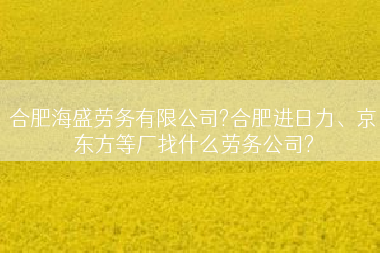 合肥海盛劳务有限公司?合肥进日力、京东方等厂找什么劳务公司?