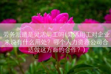 劳务派遣是灵活用工吗(灵活用工对企业来说有什么用处？哪个人力资源公司合适做这方面的合作？)
