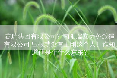 鑫瑞集团有限公司？南阳瑞鑫劳务派遣有限公司 压根就没有王刚这个人！谁知道他是个什么东东？