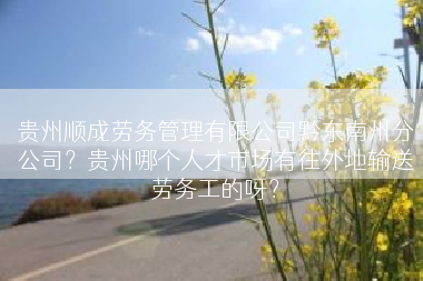 贵州顺成劳务管理有限公司黔东南州分公司？贵州哪个人才市场有往外地输送劳务工的呀？