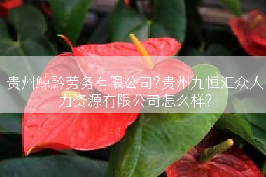 贵州鲸黔劳务有限公司?贵州九恒汇众人力资源有限公司怎么样?