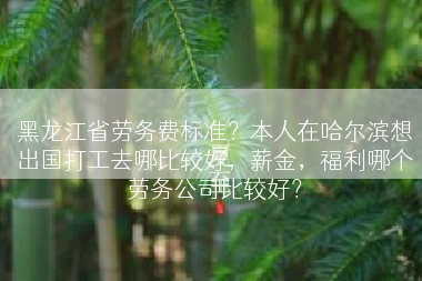 黑龙江省劳务费标准？本人在哈尔滨想出国打工去哪比较好，薪金，福利哪个劳务公司比较好？