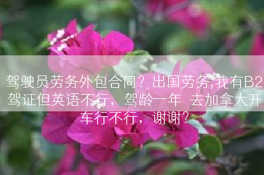 驾驶员劳务外包合同？出国劳务,我有B2驾证但英语不行，驾龄一年．去加拿大开车行不行，谢谢？