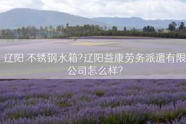 辽阳 不锈钢水箱?辽阳益康劳务派遣有限公司怎么样?